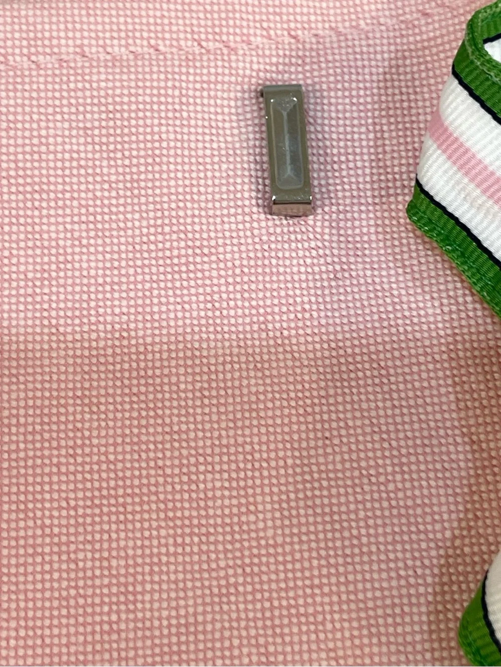 Ralph Lauren Light Pink Pleated Skirt with Green-Trim Buckles